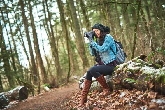 Shot of a young woman taking a picture of birds in the outdoors