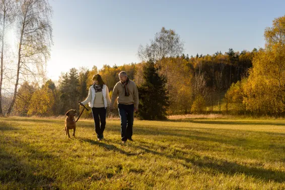 Mature couple walking dog in nature whilst on holiday