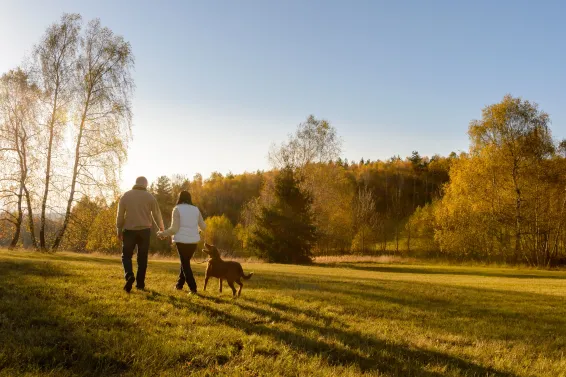 Couple walking dog in peaceful North Devon Woodlands