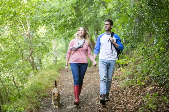 A couple enjoying walking their dog through woodlands enjoying a peaceful break