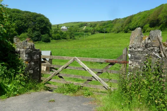 A farm gate with a large field behind it and woodland in the distance