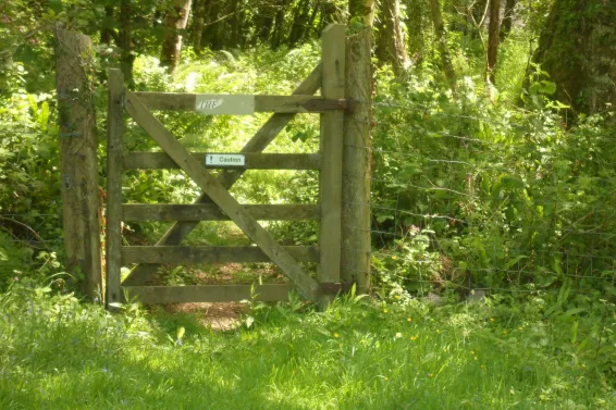 A wooden gateway leading into a woodland area