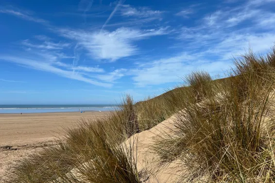 A view of Saunton Sands beach from behind a grass covered dune