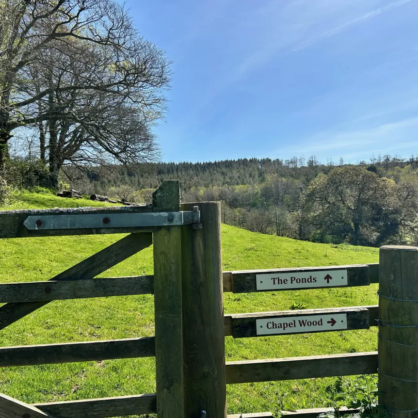 Field gate and fence at Spreacombe showing the way to RSPB Chapel Wood and the Spreacombe ponds.