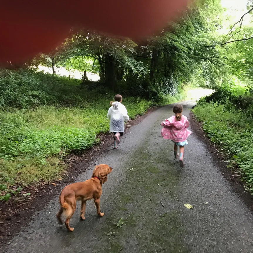 Two girls and dog walking down a lane surrounded by woodland