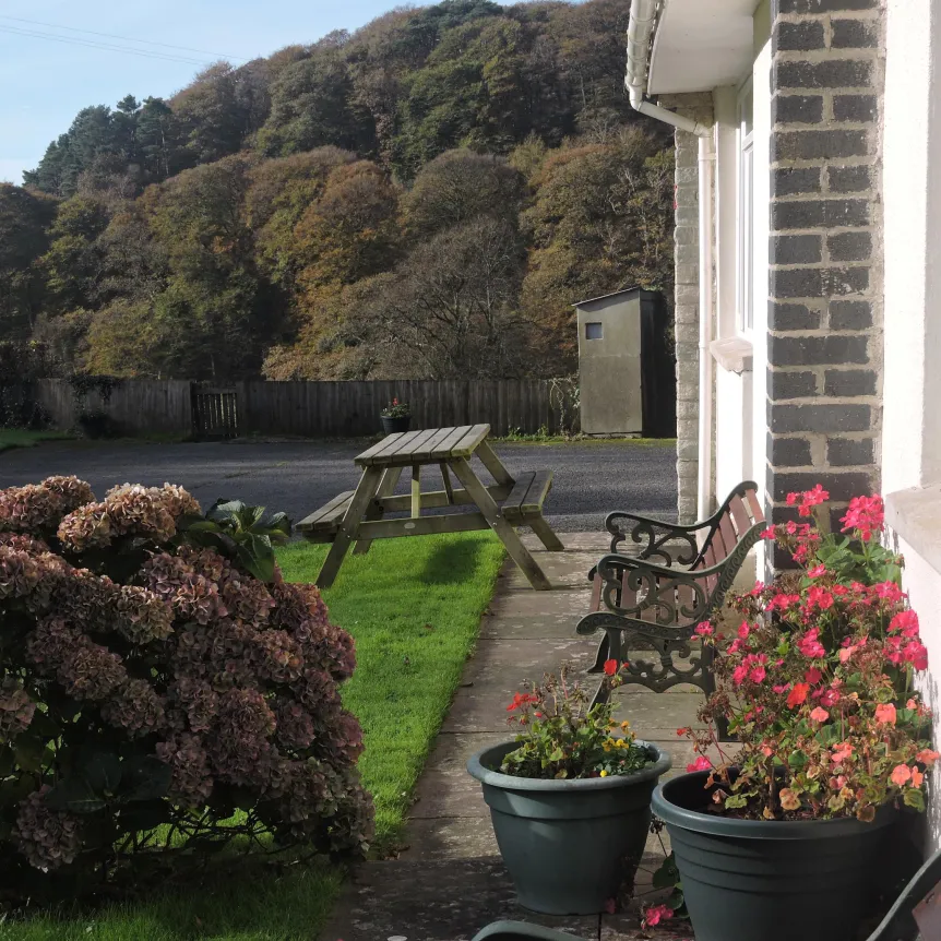 The lawn and gardens outside Hibiscus Cottage at Spreacombe Holiday Cottages