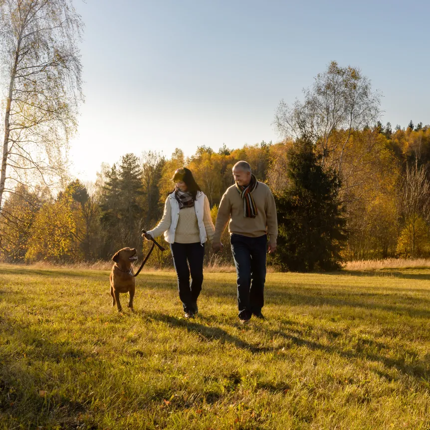 Mature couple walking dog in nature whilst on holiday