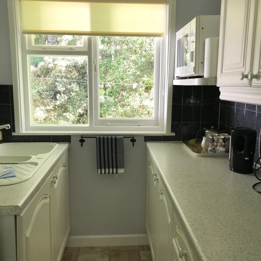 Begonia | Kitchen | Galley