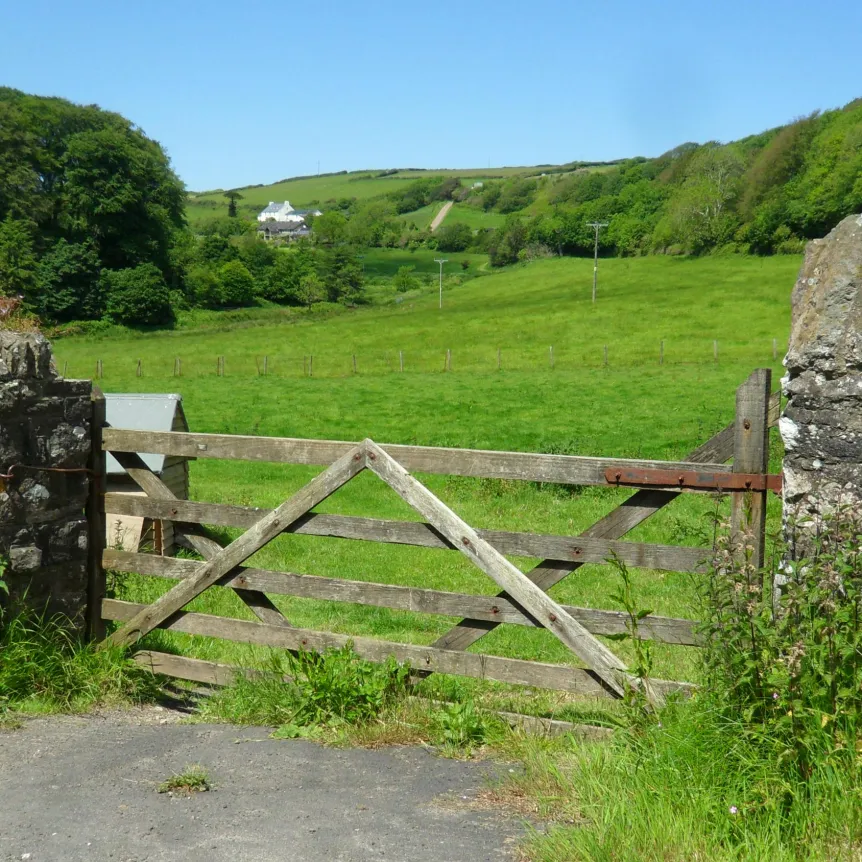 A farm gate with a large field behind it and woodland in the distance