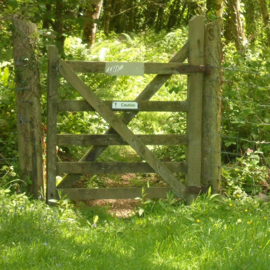 A wooden gateway leading into a woodland area