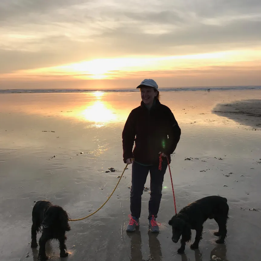 A person standing on a wet beach with two dogs at sunset