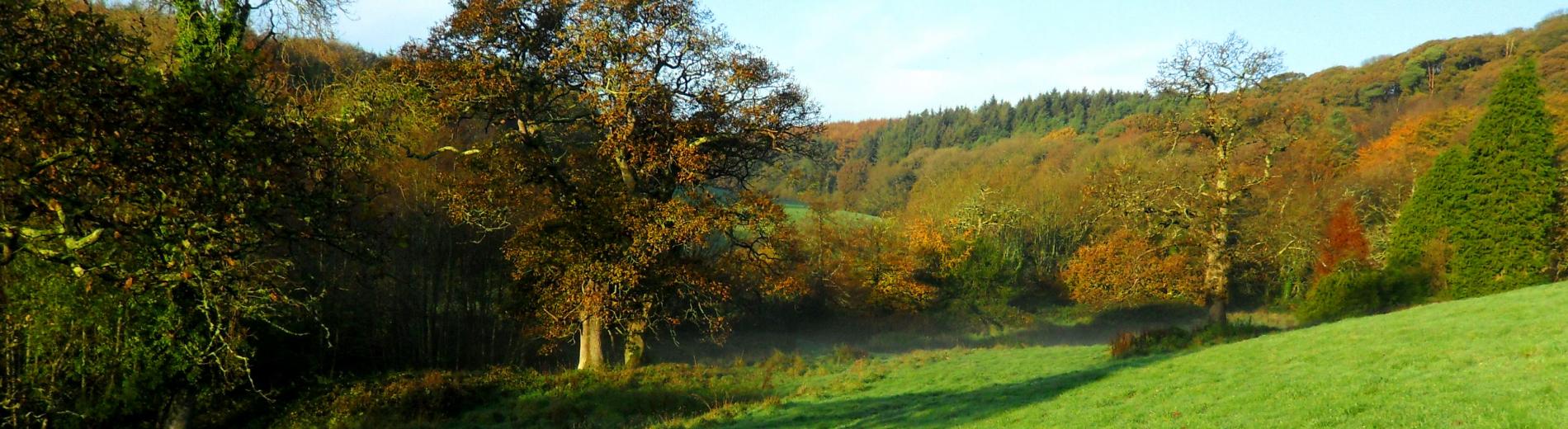 Spreacombe Valley at Autumn