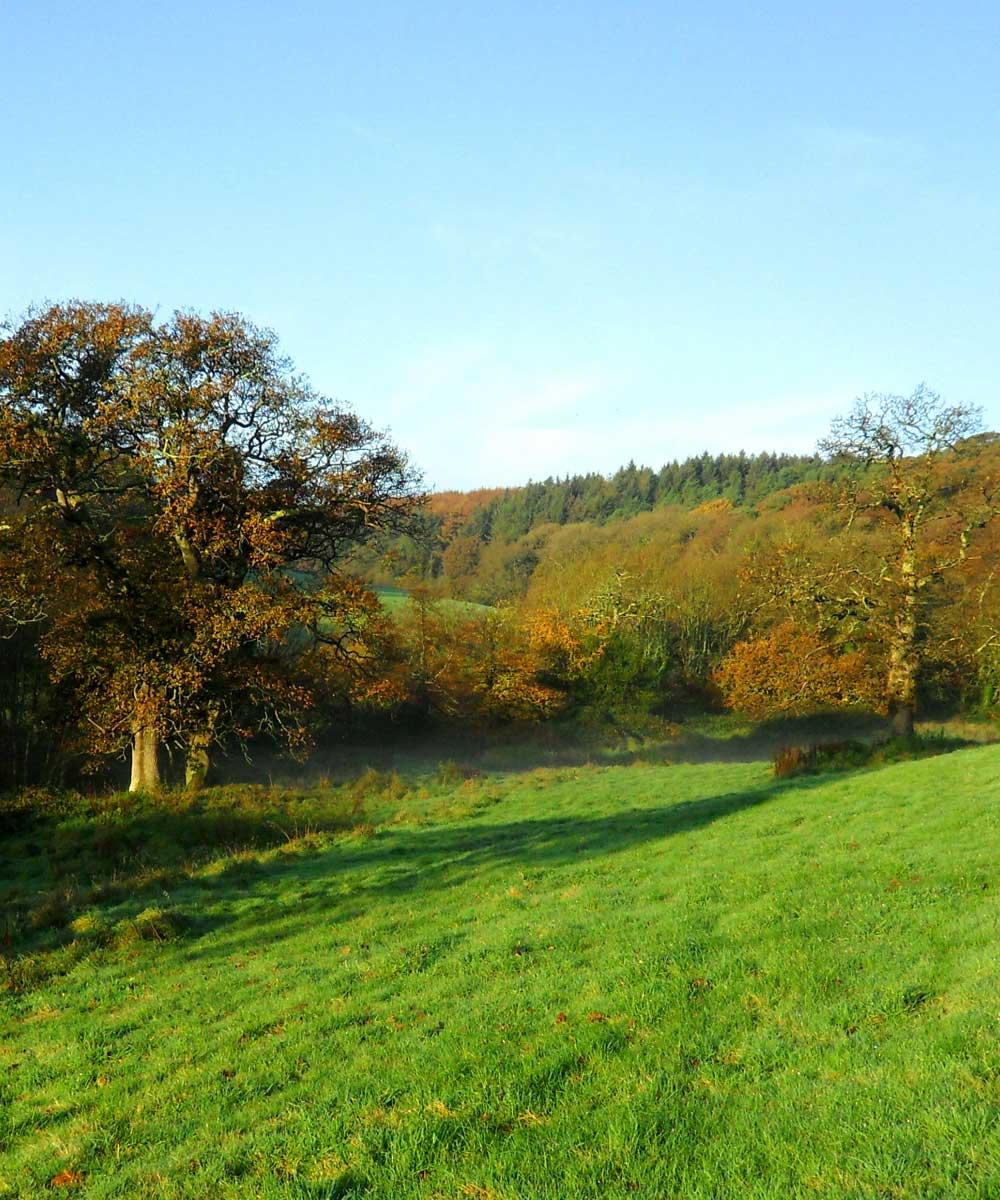 Autumn at Spreacombe