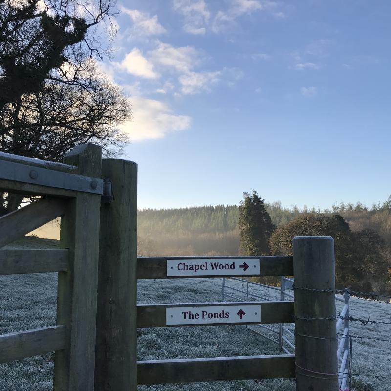 Field gate with sign to RSPB Chapel Wood. 