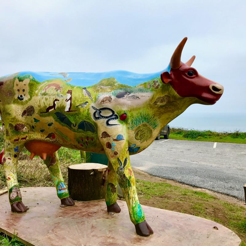 Hand painted cow next to Woolacombe Sand Dunes.