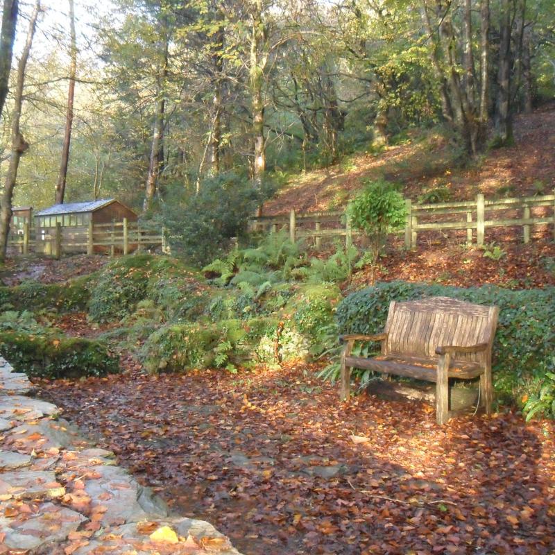 RSPB Chapel Wood, showing bench and chapel in Autumn