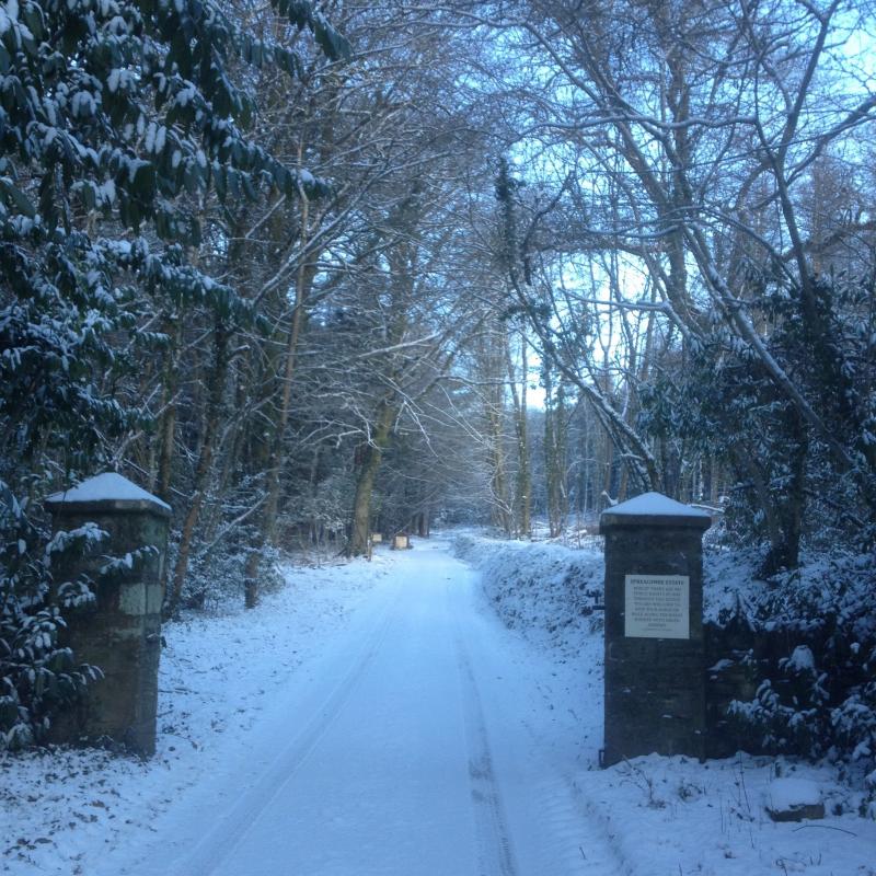 Spreacombe Entrance in the winter