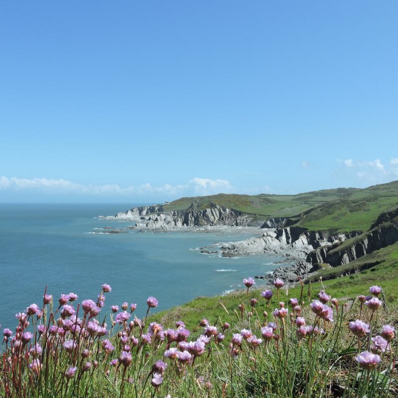 The view from the South West Cliff Path towards Lee Lighthouse. The National Trust have a good description of the walk