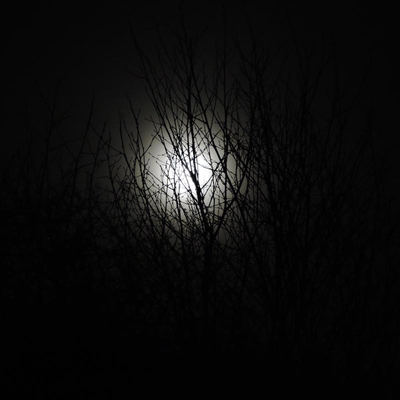 Jan 2020 wolf moon photographed at Spreacombe